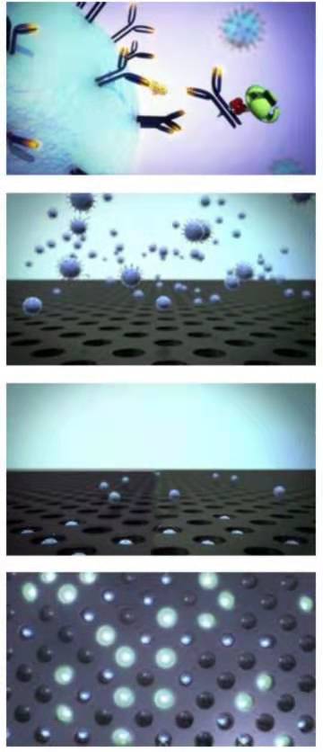 7790�ط�����(�й�)���޹�˾-�ѹ��ٿ�