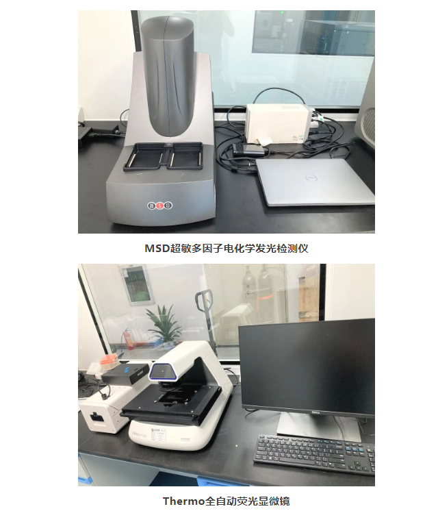 7790�ط�����(�й�)���޹�˾-�ѹ��ٿ�