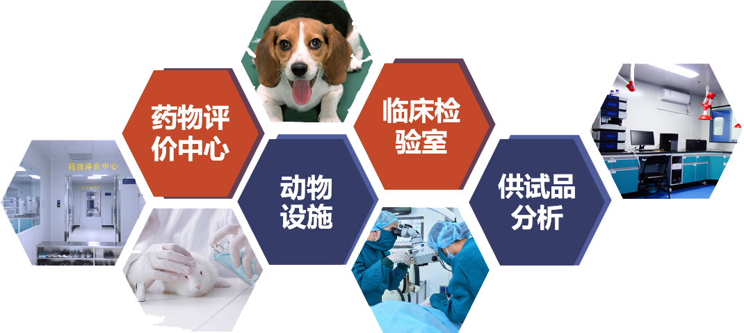 7790�ط�����(�й�)���޹�˾-�ѹ��ٿ�