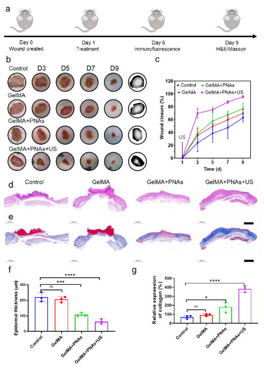 7790�ط�����(�й�)���޹�˾-�ѹ��ٿ�
