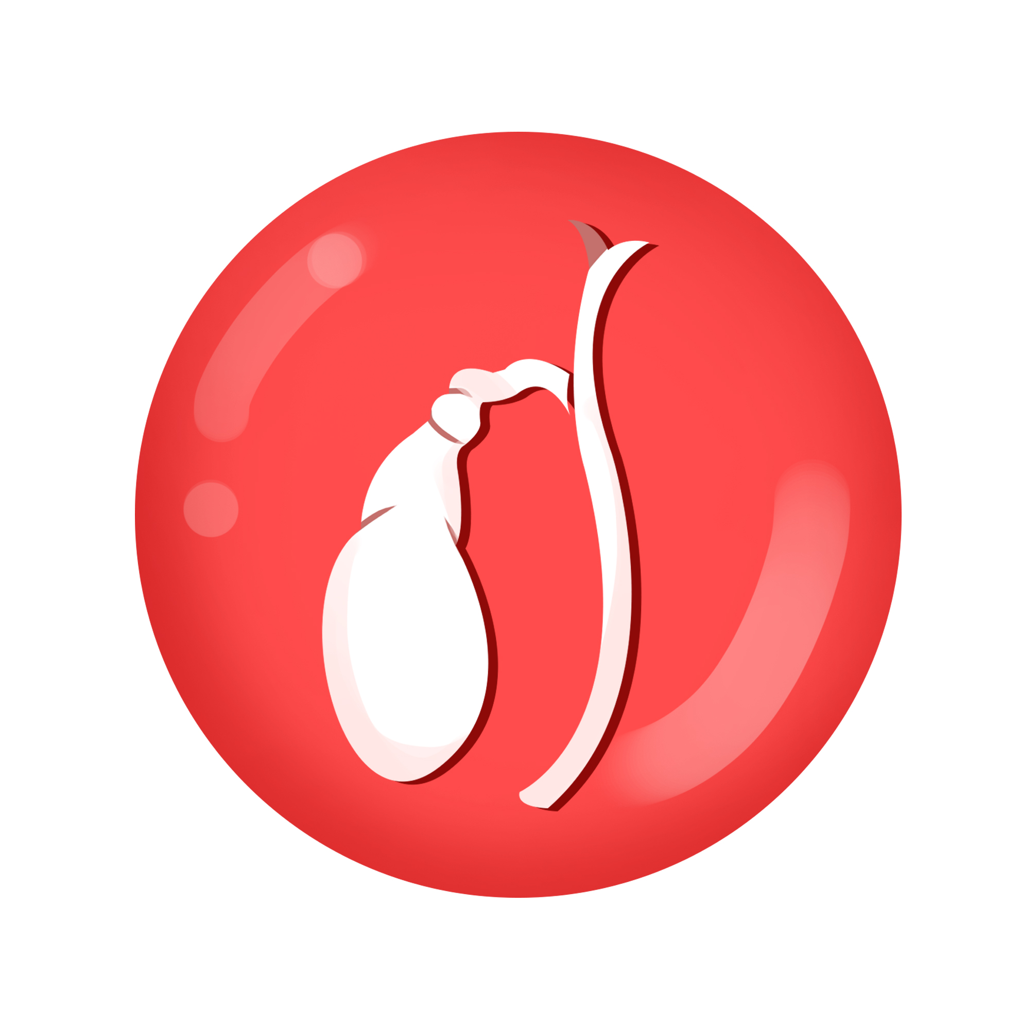 ��ʯ�ʵ�����