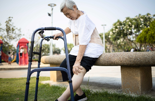 ��ʪ�����Ƽ�