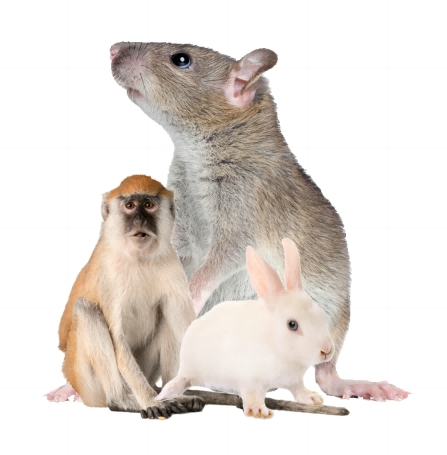 ����ҩ������ѧ�о�