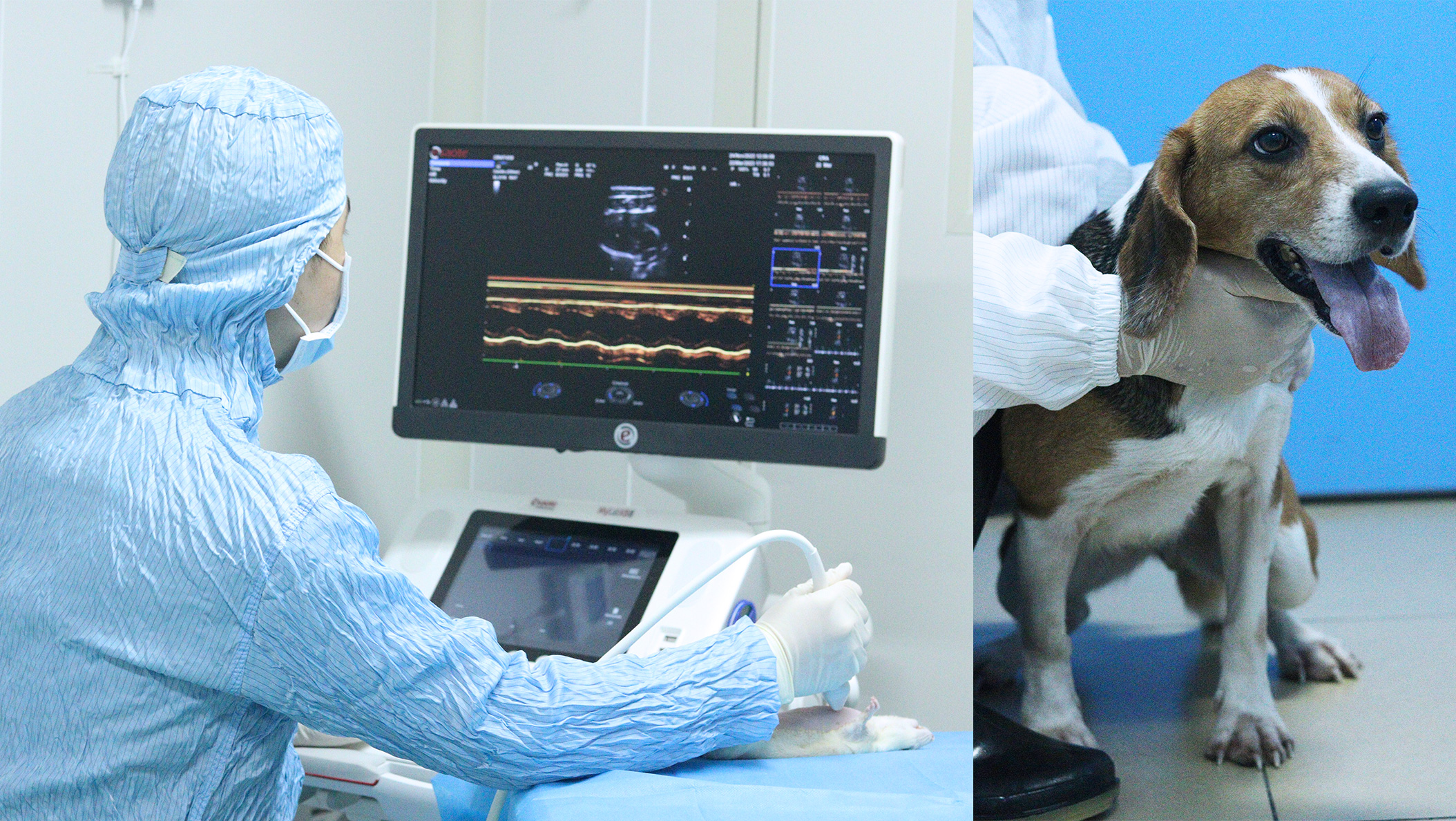 ����ģ��