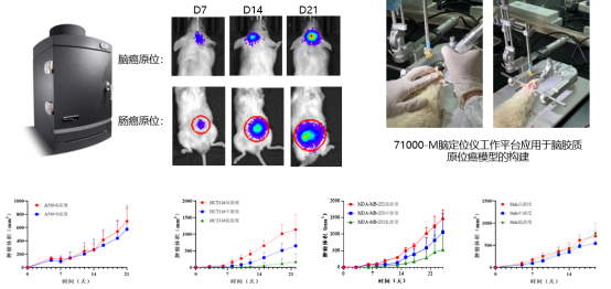 7790必发集团(中国)有限公司-搜狗百科