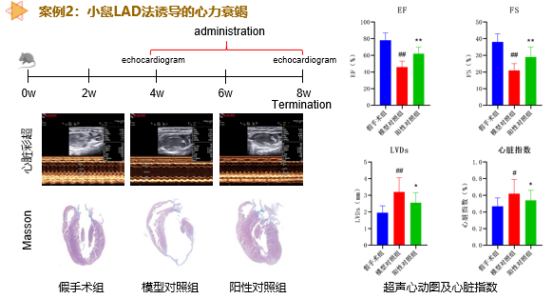 7790必发集团(中国)有限公司-搜狗百科