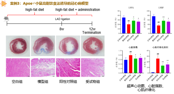 7790必发集团(中国)有限公司-搜狗百科