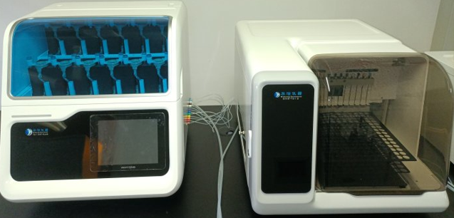 经皮给药药代动力学研究